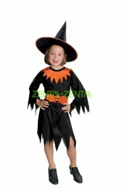 Chic Little Witch Halloween Costume For Kid
