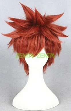 Emiya Shirou Wig | Fate Stay Night