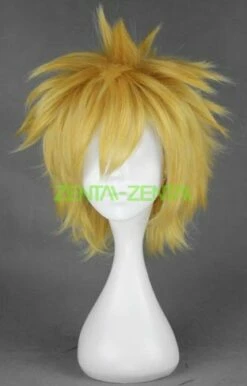Hitman Reborn!Giotto's Wig!