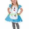 Little Alice Maid Girl's Halloween Costume