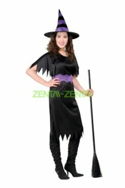 Purple And Black Adult Witch Halloween Costume