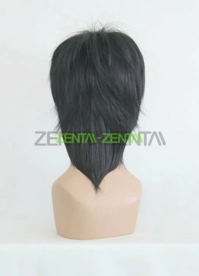 Shiki Wig | Togainu No Chi 3 Shiki Wig | Togainu No Chi - Image 3