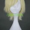 Vampire Knight!Ichijou Takuma's Wig!